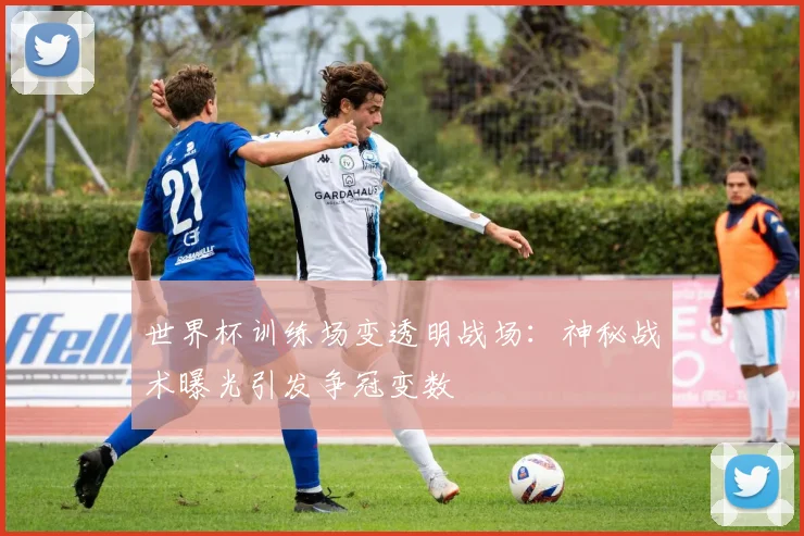 世界杯训练场变透明战场：神秘战术曝光引发争冠变数